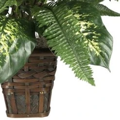 26" X 26" Artificial Zebra Plant With Wicker Pot - Nearly Natural
