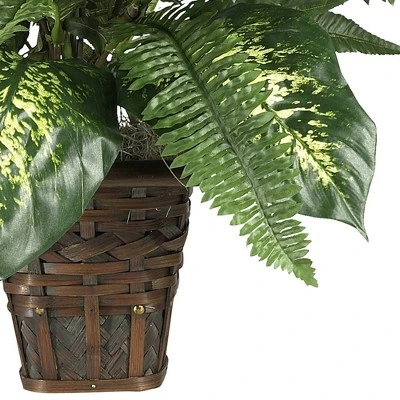 26" X 26" Artificial Zebra Plant With Wicker Pot - Nearly Natural 3 26" X 26" Artificial Zebra Plant With Wicker Pot - Nearly Natural