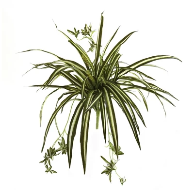 Nearly Natural 23-in Spider Plant Bush (Set Of 4) 3 Nearly Natural 23-in Spider Plant Bush (Set Of 4)