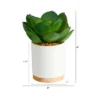 Nearly Natural 6-in Succulent Artificial Plant In White Ceramic Planter -Nearly Natural GUEST 0eac73e1 9042 4dd5 8ed7 6cb621f38161