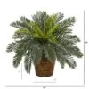 Nearly Natural 15-in Cycas Artificial Plant In Basket -Nearly Natural GUEST 10f7c47d 4113 4903 8cfb 7b6f577a4b57
