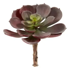Nearly Natural 6-in Artificial Echeveria Succulent (Set Of 12) -Nearly Natural GUEST 2134e851 20cf 4fb0 88aa 4cee90401b91