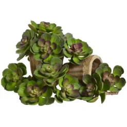 Nearly Natural 6-in Artificial Echeveria Succulent (Set Of 12) -Nearly Natural GUEST 25419caf 921e 4ad9 aa8b bbbf693dc0be