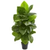 Nearly Natural 4-ft Taro Artificial Plant -Nearly Natural GUEST 25aed56a b221 4df4 a78d 38dd6ccedacf