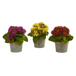 9" X 8" 3pc Artificial Kalanchoe Arrangement In Pot Set - Nearly Natural -Nearly Natural GUEST 28d848f4 59e7 429a b388 927c794b66d2