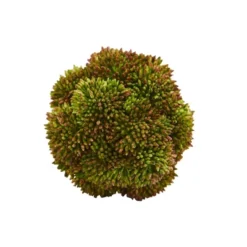 Nearly Natural 4-in Sedum Artificial Succulent Artificial Spheres (Set Of 6) -Nearly Natural GUEST 2c5249bd aefd 4181 bf4f d8f5085ce862