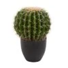 Nearly Natural 14-in Cactus Artificial Plant -Nearly Natural GUEST 2d08d3bd 9ec3 43f9 be5c 7cb4391c1684