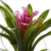 8" X 6" Artificial Tropical Bromeliad In Angled Glass Vase Purple - Nearly Natural -Nearly Natural GUEST 2ff31bb1 9a60 4ac1 a287 a38e58aa1c7f
