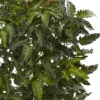 33" Bracken Fern With Decorative Planter - Nearly Natural -Nearly Natural GUEST 32dedc2d c911 4e86 a9c2 2446edfd62aa