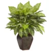 Nearly Natural 23-in Dieffenbachia W/Decorative Vase Silk Plant -Nearly Natural GUEST 357a6af6 c8fa 4997 876c 6aa76295393b