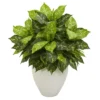 Nearly Natural 28-in Dieffenbachia Artificial Plant In White Planter -Nearly Natural GUEST 39013000 f999 473e b7b8 56ee54fba254