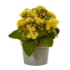 9" X 8" 3pc Artificial Kalanchoe Arrangement In Pot Set - Nearly Natural -Nearly Natural GUEST 39b6e0e8 ff6c 4fd1 964f 68d1ced056bf