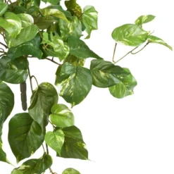 Pothos Hanging Bush 3pk (40") - Nearly Natural