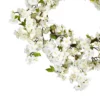 24" Artificial Cherry Blossom Wreath - Nearly Natural -Nearly Natural GUEST 3f9f8865 7054 4ff5 8e6e 8cd087c33a78