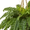 Boston Fern Hanging Basket - Nearly Natural -Nearly Natural GUEST 43eb298d 6cb9 49cd a625 e7a939f0ff2a