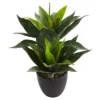 21" X 16" Artificial Agave Plant In Decorative Pot Black - Nearly Natural -Nearly Natural GUEST 5030f19e 92b6 431d 800d 695e06dad637