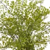 13" X 16" Artificial Maiden Hair Plant In Decorative Planter - Nearly Natural -Nearly Natural GUEST 528df563 fc70 4ba8 945a 7287ad0b62f5