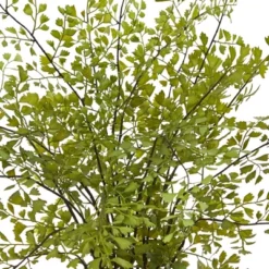 13" X 16" Artificial Maiden Hair Plant In Decorative Planter - Nearly Natural