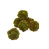 Nearly Natural 4-in Sedum Artificial Succulent Artificial Spheres (Set Of 6) -Nearly Natural GUEST 54b18a9e f5ae 4051 84cb e320763d5a78