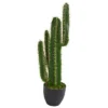 Nearly Natural 2.5-ft Artificial Blue Myrtle Cactus Plant -Nearly Natural GUEST 5538d3f9 42e2 426e b401 2ea23f6b50a4