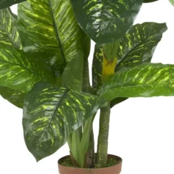 Nearly Natural 5' Dieffenbachia Silk Plant (Real Touch) -Nearly Natural GUEST 598ae415 b171 4b54 b003 bc98d77cca3e
