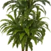 50" X 32" Artificial Marginatum Plant In Vase White - Nearly Natural -Nearly Natural GUEST 614d6869 2515 4372 a6c3 b7dc162c1da5