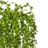 Nearly Natural 15-in Senecio Artificial Succulent (Set Of 3) -Nearly Natural GUEST 62b86902 a21a 4b21 9544 d5c433b01902