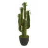 Nearly Natural 2.5-ft Artificial San Pedro Cactus Plant -Nearly Natural GUEST 68347a1e fbc8 468f 8ef1 69632786389b