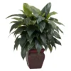 Nearly Natural Cordyline W/Decorative Vase Silk Plant -Nearly Natural GUEST 6a109e16 915b 4aeb b1ad cd62d4f0de5d