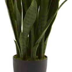 Nearly Natural Sansevieria With Black Planter -Nearly Natural GUEST 719febc9 f088 4073 9b7a 5b9f27b56d6b