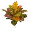 Nearly Natural 17-in Garden Croton Artificial Plant (Real Touch) (Set Of 6) -Nearly Natural GUEST 71dc4778 c567 40a9 82c4 e5e1574bdc0e
