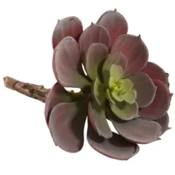 Nearly Natural 6-in Artificial Echeveria Succulent (Set Of 12) -Nearly Natural GUEST 77e6f737 5cfa 437a ab7e 7f98614f1f71