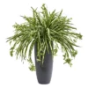 Nearly Natural 33-in Spider Artificial Plant In Cylinder Planter -Nearly Natural GUEST 7ae799dd f88f 46a9 b505 f4c8323123d7