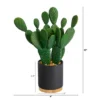 Nearly Natural 10-in Cactus Succulent Artificial Plant In Planter 1 Nearly Natural 10-in Cactus Succulent Artificial Plant In Planter -Nearly Natural GUEST 7c4f3b97 ddec 45e5 9858 82c857b3b11d