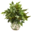 Nearly Natural Mixed Ficus, Fittonia And Berries Artificial Plant In Floral Vase 2 Nearly Natural Mixed Ficus, Fittonia And Berries Artificial Plant In Floral Vase -Nearly Natural GUEST 7c817606 0ff9 4df1 931b 46a33a81092e