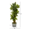 Nearly Natural 58-in Corn Stalk Dracaena Artificial Plant In Black Embossed Tin Planter (Real Touch) -Nearly Natural GUEST 7dd57289 2eba 44e1 9f38 5eb2eb36665b