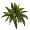 Nearly Natural 14-in Boston Fern Artificial Plant (Set Of 6) -Nearly Natural GUEST 7fdf1cd7 d5ea 4fa5 bdb3 bd4b8d89ac97