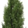 Nearly Natural 4' Cedar Tree Silk Tree (In-door/Out-door)