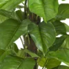 Nearly Natural 52" Large Leaf Philodendron Silk Plant (Real Touch) -Nearly Natural GUEST 83122e1f d9ba 48f0 be5e a16d5dbd386c