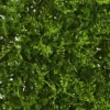 20" X 20" Lush Mediterranean Artificial Fern Wall Panel - Nearly Natural 1 20" X 20" Lush Mediterranean Artificial Fern Wall Panel - Nearly Natural -Nearly Natural GUEST 84be29df e828 4535 97c4 90c54f7c8c54