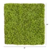 Nearly Natural 20-in X 20-in Duckweed Artificial Wall Mat 1 Nearly Natural 20-in X 20-in Duckweed Artificial Wall Mat -Nearly Natural GUEST 86e4e146 4c53 4334 b10f 0b2cfb9b1fc0