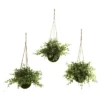 Nearly Natural Eucalyptus, Maiden Hair & Berry Hanging Basket (Set Of 3) -Nearly Natural GUEST 8e85dacd 86d9 43ed aede 232c5ebcd9f2