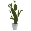 Nearly Natural 27-in Cactus Artificial Plant -Nearly Natural GUEST 91e5f724 ae5e 4178 b866 fb88e675e6c5