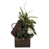 Nearly Natural African Violet, Dieffenbachia & Ivy W/Chest Silk Plant -Nearly Natural GUEST 93e1be11 c455 407f b123 0b81182b3f3a
