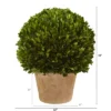 Nearly Natural 15-in Boxwood Ball Preserved Plant In Planter -Nearly Natural GUEST 953215b5 ec0c 4cfd b59a 2a50d15d65de