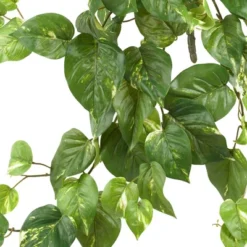 Pothos Hanging Bush 3pk (30") - Nearly Natural