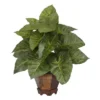 Nearly Natural 17-in Taro W/Vase Silk Plant -Nearly Natural GUEST a165f10e c37e 42d5 b955 6fbb5a8b9a75