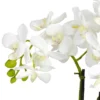 Nearly Natural Phalaenopsis Silk Flower Arrangement