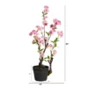 Nearly Natural 2.5-ft Cherry Blossom Artificial Plant -Nearly Natural GUEST b16cb675 2edf 413d 931f c9bc3c4dd8bf