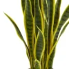 26" X 8" Artificial Sansevieria Plant In Pot - Nearly Natural -Nearly Natural GUEST b251ecaa 55e4 4ed3 945b 434b59a0d3fb